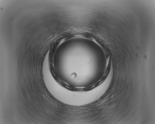 X0000067511348200604101245