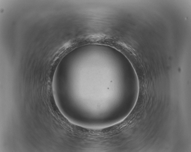 X0000067511349200604101245