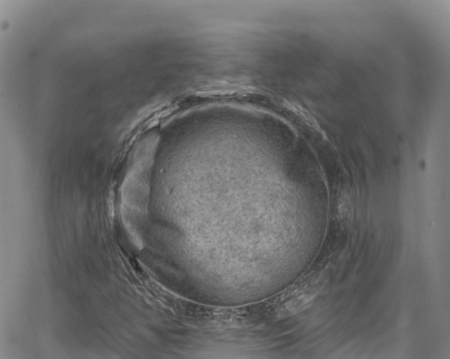 X0000067511350200604101245