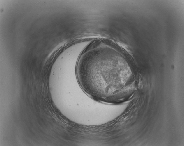 X0000067511351200604101245