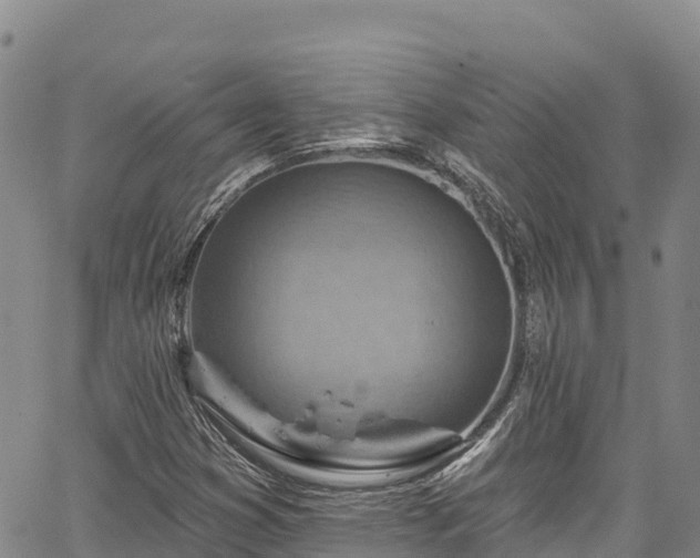 X0000067511353200604101245