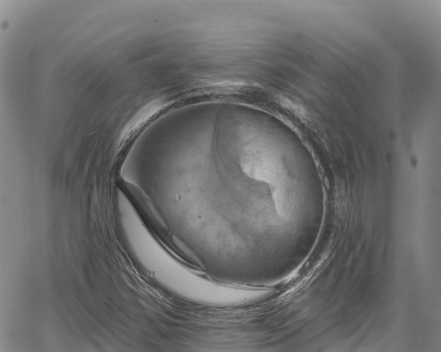 X0000067511354200604101245