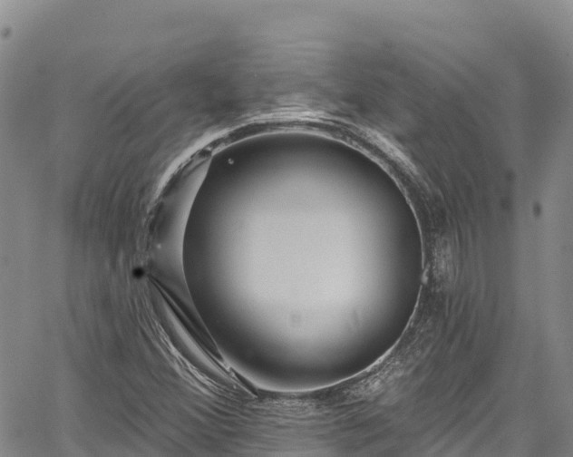 X0000067511356200604101245