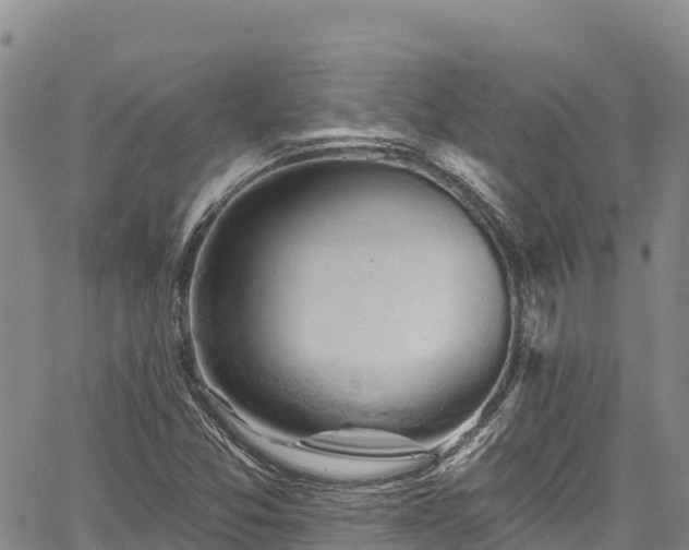 X0000067511357200604101245