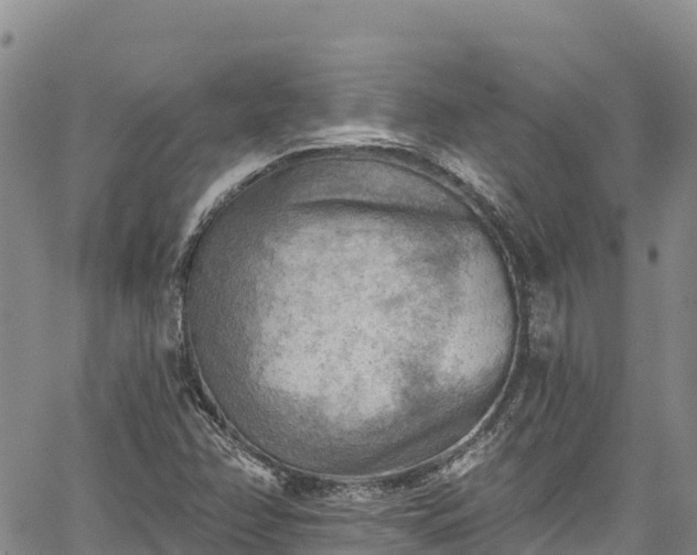 X0000067511358200604101245