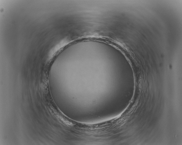 X0000067511359200604101245