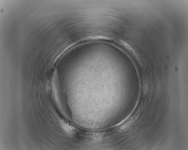 X0000067511361200604101245