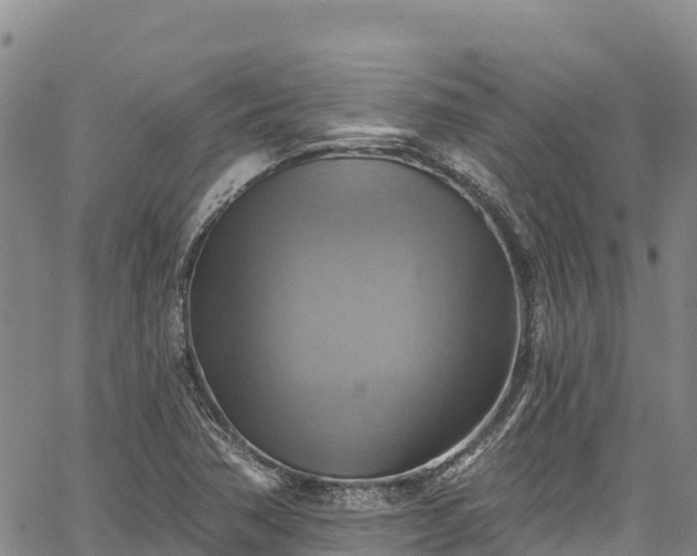 X0000067511362200604101245