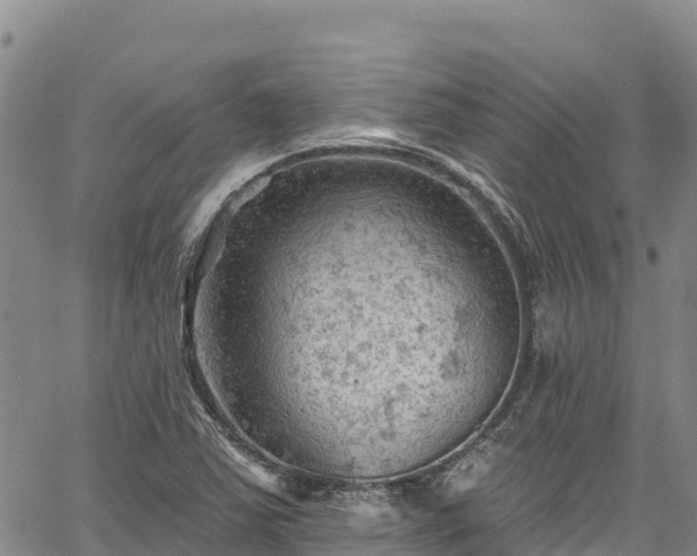 X0000067511363200604101245