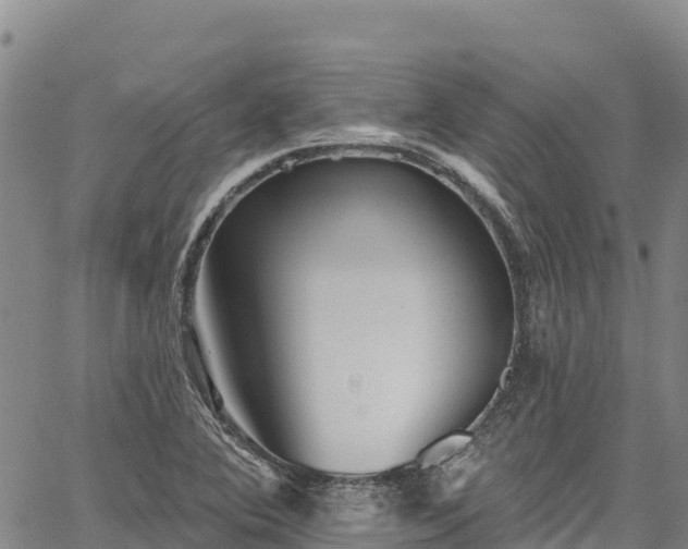 X0000067511364200604101245