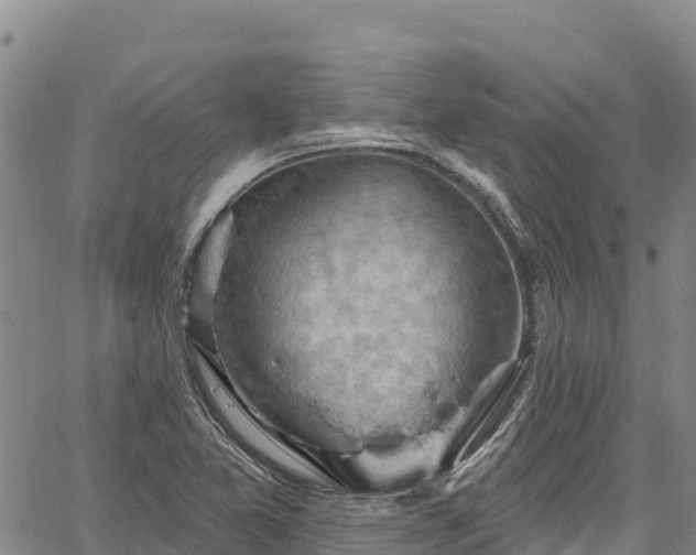 X0000067511365200604101245