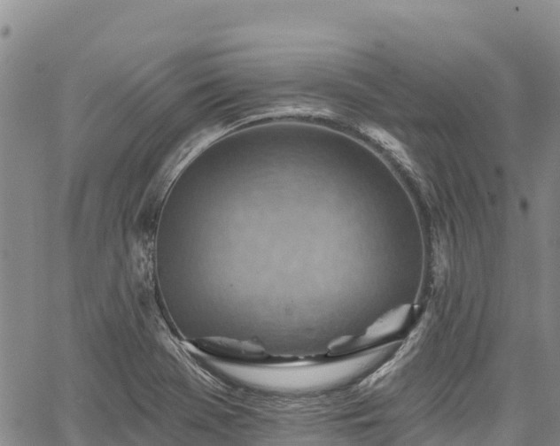 X0000067511369200604101245