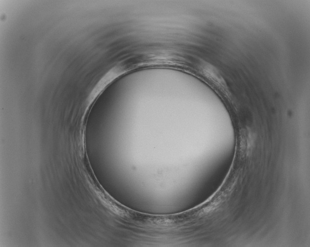 X0000067511370200604101245