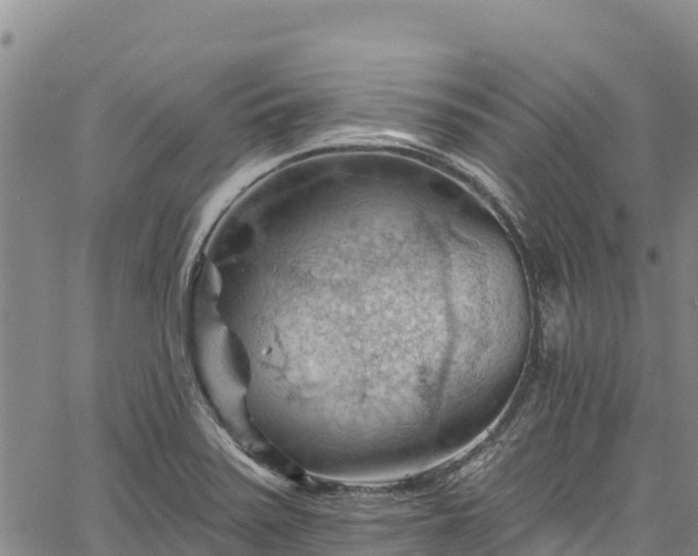 X0000067511371200604101245