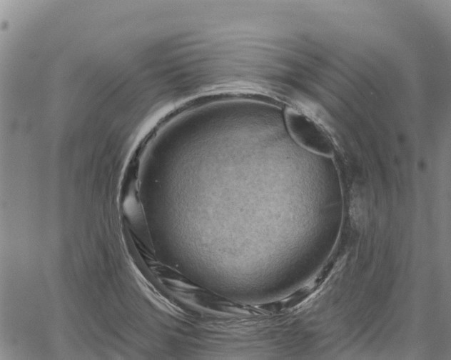 X0000067511372200604101245