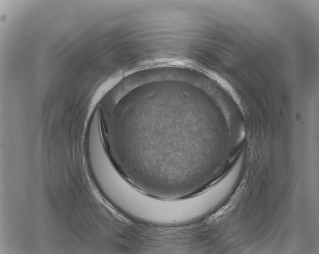 X0000067511373200604101245