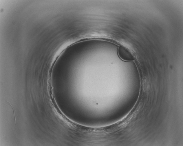 X0000067511374200604101245