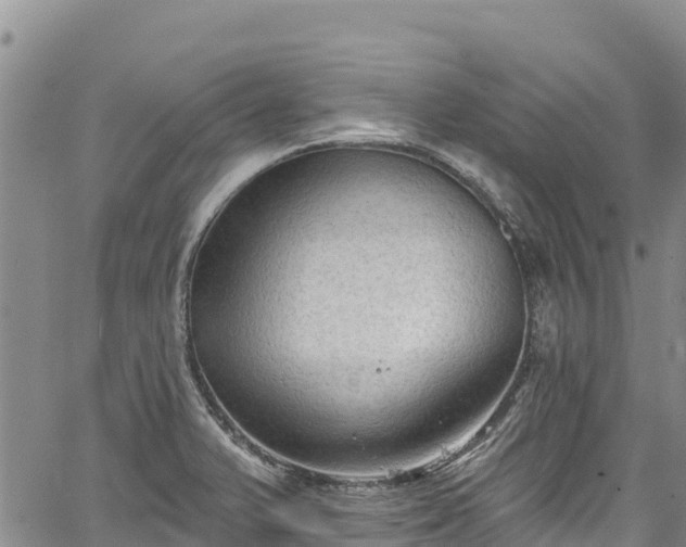 X0000067511375200604101245