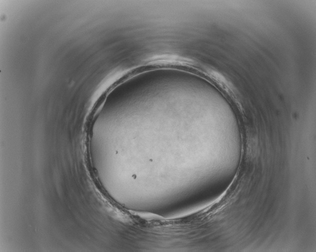 X0000067511376200604101245