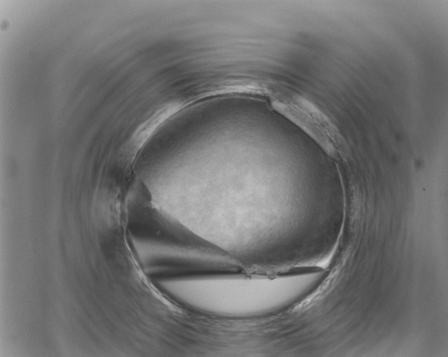 X0000067511377200604101245