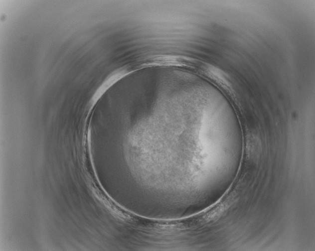 X0000067511378200604101245