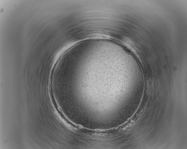 X0000067511379200604101245