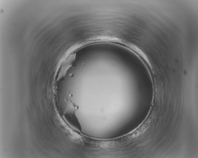 X0000067511381200604101245