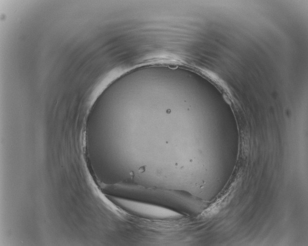 X0000067511383200604101245