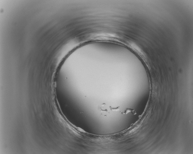 X0000067511384200604101245