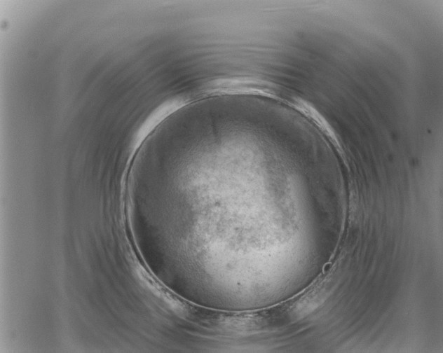 X0000067511386200604101245