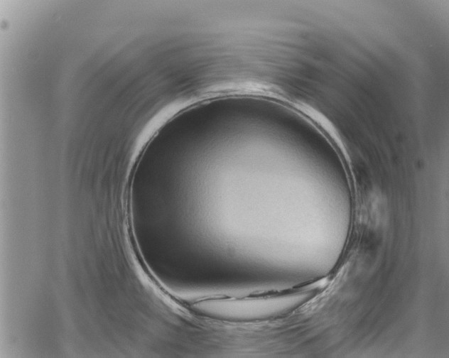 X0000067511389200604101245