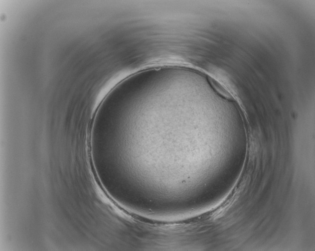 X0000067511390200604101244