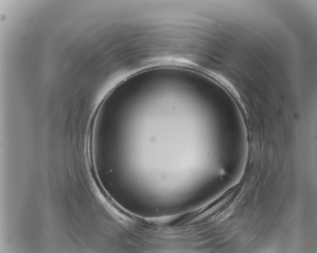 X0000067511391200604101244