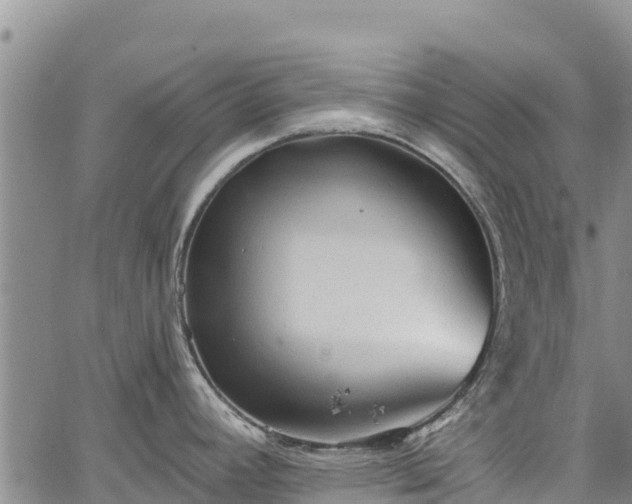 X0000067511392200604101244