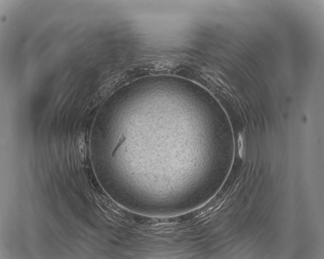 X0000067511395200604101244