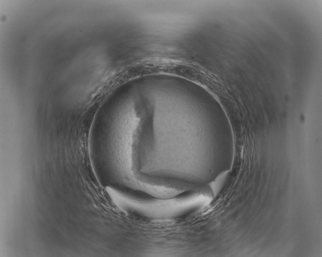 X0000067511397200604101244