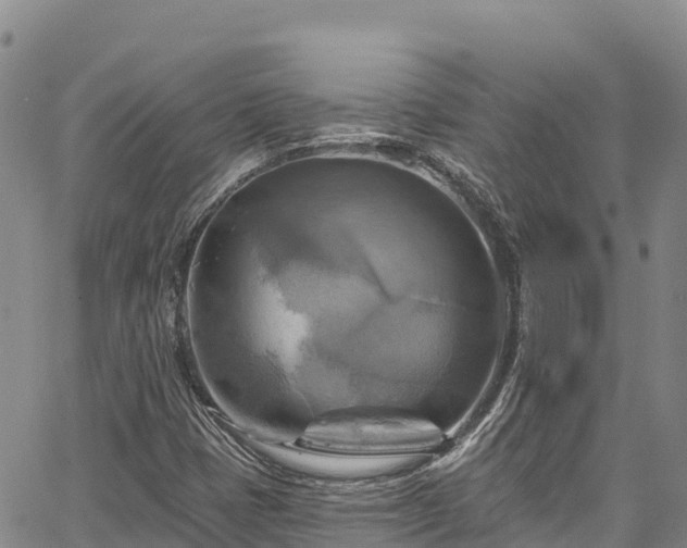 X0000067511401200604101244