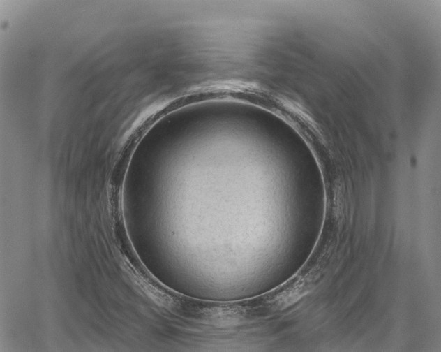 X0000067511404200604101244