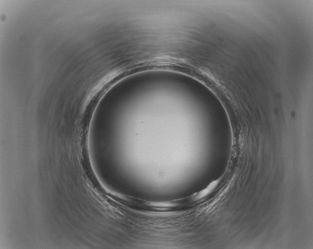 X0000067511410200604101244