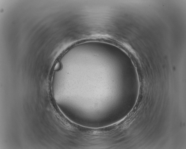 X0000067511412200604101244