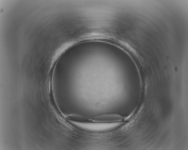 X0000067511413200604101244