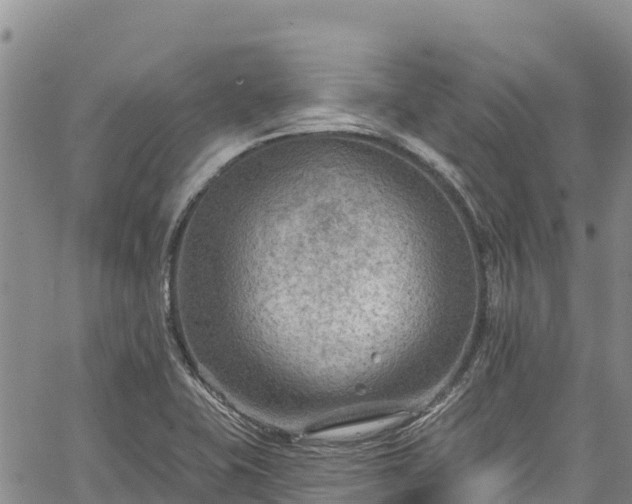 X0000067511415200604101244