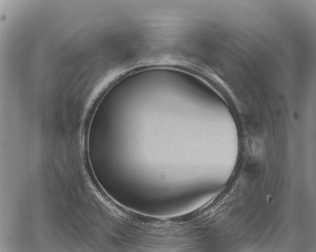 X0000067511416200604101244