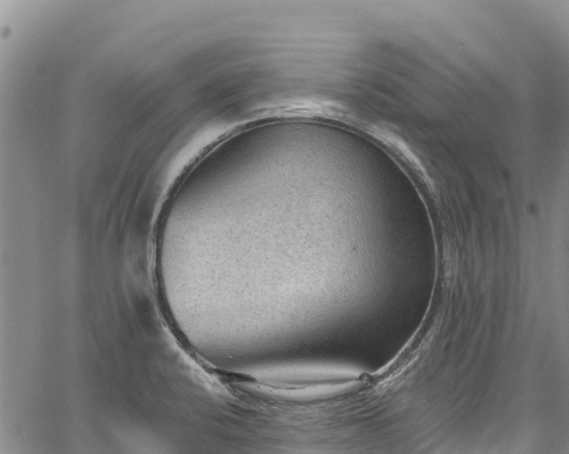 X0000067511424200604101244