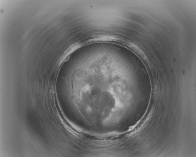 X0000067511425200604101244