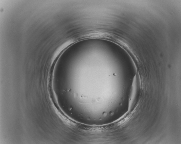 X0000067511426200604101244