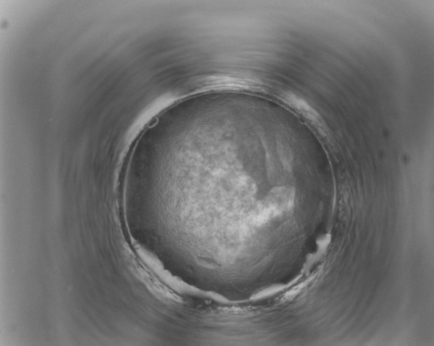 X0000067511427200604101244