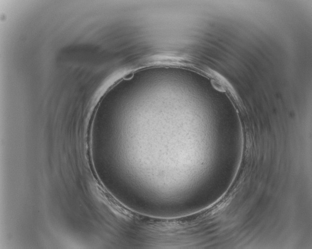 X0000067511435200604101244