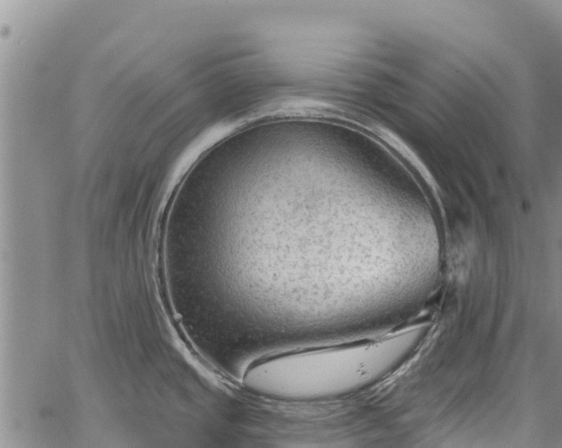 X0000067511437200604101244