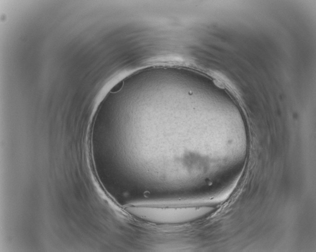 X0000067511440200604101244